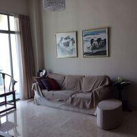 Tanglin Regency (D10), Condominium #161466612